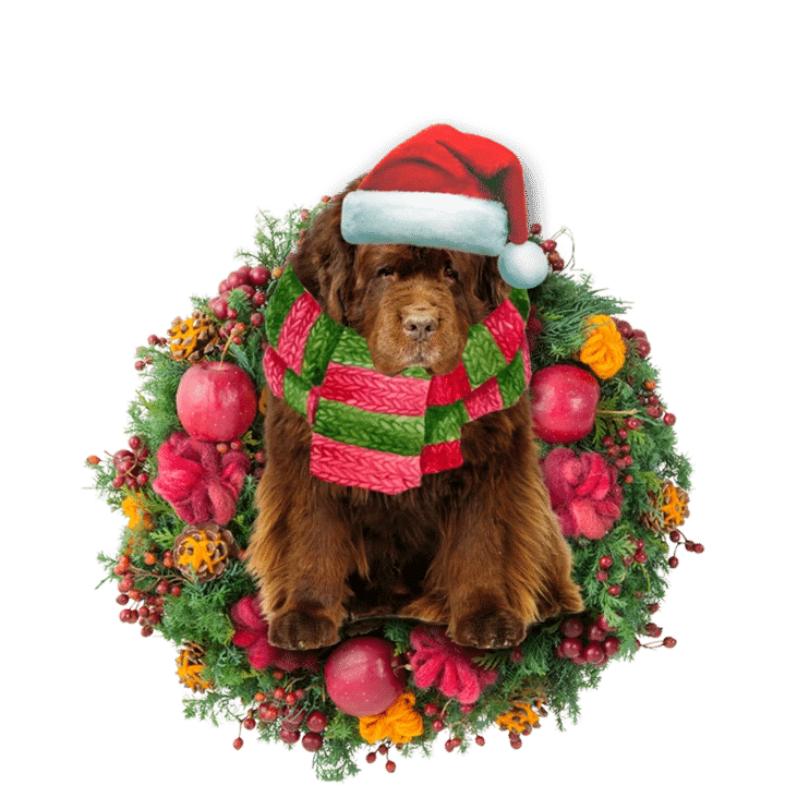 Newfoundland Christmas Ornament 2