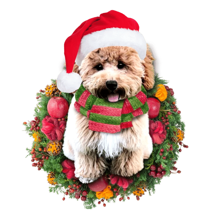 Poochon Christmas Ornament