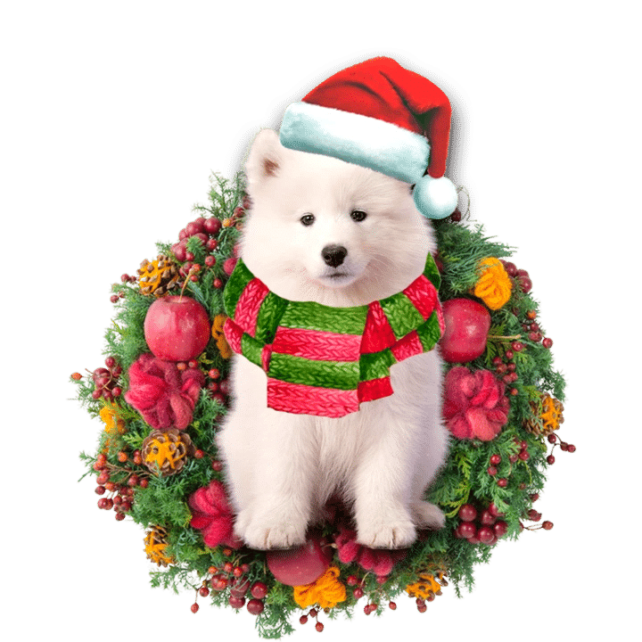 Samoyed Christmas Ornament 2