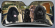 Newfoundland Dog Family Car Sunshade for Newfoundland Lovers Car Protective Sunshade