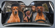 Rhodesian Ridgeback Dog Family Car Sunshade for Rhodesian Ridgeback Lovers Car Protective Sunshade