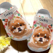 Personalize Pomeranian in Pocket Crocs Clog Shoes for Men, Women, Kids
