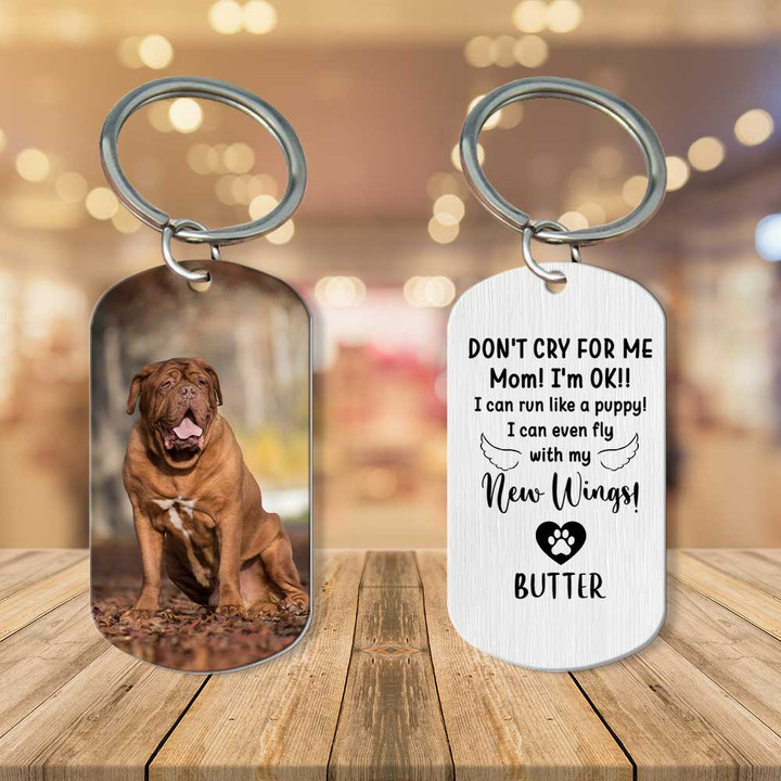 Mastiff Memorial Dog Keychain, Custom Dog Picture, Dog in Heaven, Don't cry for me Keychain