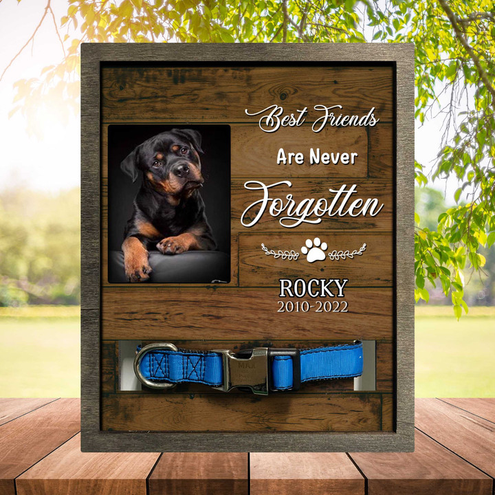 Pet Collar Keepsake Memorial Picture Frame, A Beautiful Remembrance Gift For A Grieving Pet Owner