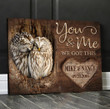 Personalized Owls Couple Wall Art, You and me We got this Canvas Wall Art for Wedding Anniversary