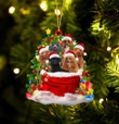 Poodle Dogs In A Gift Bag Christmas Ornament Flat Acrylic Dog Ornament