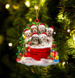 Havanese Dogs In A Gift Bag Christmas Ornament Flat Acrylic Dog Ornament