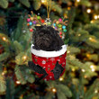Affenpinscher In Snow Pocket Christmas Ornament Flat Acrylic Dog Ornament