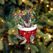 Swedish Vallhund In Snow Pocket Christmas Ornament Flat Acrylic Dog Ornament