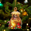Toy Poodle In in Golden Egg Christmas Ornament, Flat Acrylic Dog Ornament