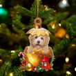 Havanese In in Golden Egg Christmas Ornament, Flat Acrylic Dog Ornament