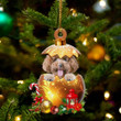 Poodle In in Golden Egg Christmas Ornament, Flat Acrylic Dog Ornament
