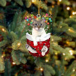 Ojos Azules In Snow Pocket Christmas Ornament Flat Acrylic Cat Ornament