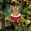 Cat Abyssinian In Snow Pocket Christmas Ornament Flat Acrylic Cat Ornament