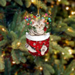 American Shorthair Cat In Snow Pocket Christmas Ornament Flat Acrylic Cat Ornament