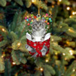 Cat Maine Coon In Snow Pocket Christmas Ornament Flat Acrylic Cat Ornament