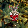 Cat Tonkinese In Snow Pocket Christmas Ornament Flat Acrylic Cat Ornament