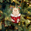 Cat Persian In Snow Pocket Christmas Ornament Flat Acrylic Cat Ornament