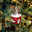 Cornish Rex Cat In Snow Pocket Christmas Ornament Flat Acrylic Cat Ornament