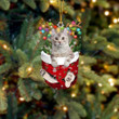 Cat American Curl In Snow Pocket Christmas Ornament Flat Acrylic Cat Ornament