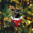 Dilypod Black Angus In Pocket Christmas Ornament Flat Acrylic Farmhouse Ornament