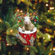 Dilypod Sheep In Pocket Christmas Ornament Flat Acrylic Farmhouse Ornament