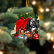 Boston Terrier Sleeping In Hat Christmas Ornament Two Sided