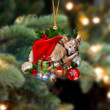 Heeler 2 Sleeping In Hat Christmas Ornament Two Sided