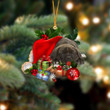 Cane Corso Sleeping In Hat Christmas Ornament Two Sided