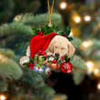 Labrador Retriever 2 Sleeping In Hat Christmas Ornament Two Sided