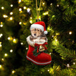 Bearded Collie In Santa Boot Christmas Two Sided Ornament