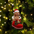 Vizsla In Santa Boot Christmas Two Sided Ornament