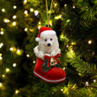 American Eskimo In Santa Boot Christmas Two Sided Ornament
