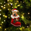 Pitbull Boxer Mix In Santa Boot Christmas Two Sided Ornament