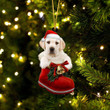 Labradoole 2 In Santa Boot Christmas Two Sided Ornament