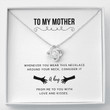To My Mom Necklace, Mother's Day Gift From Son, Mothers Day Necklace, Mom Jewelry Gift, Mom Birthday Gift, A Hug From Me To You Message Card