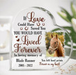 Personalized Memorial Horse Heart Acrylic Plaque - Memorial Gift For Horse Lover - Horse Farmhouse Gift