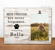 Best Friends Are Never Forgotten - Personalized Pet Memorial Photo Clip Frame, Pet Loss Frame, Dog Memorial Gift
