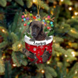 Custom Plott Hound In Snow Pocket Christmas Ornament, Personalized Dog Flat Acrylic Ornament