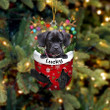 Custom Puggle In Snow Pocket Christmas Ornament, Personalized Dog Flat Acrylic Ornament
