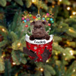 Custom Chocolate Miniature Schnauzer In Snow Pocket Christmas Ornament, Personalized Dog Flat Acrylic Ornament