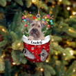 Custom Wheaten Terrier In Snow Pocket Christmas Ornament, Personalized Dog Flat Acrylic Ornament