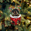 Custom Dobermann Pinscher In Snow Pocket Christmas Ornament, Personalized Dog Flat Acrylic Ornament