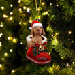 Custom Vizsla In Santa Boot Christmas Ornament, Personalized Dog Flat Acrylic Ornament