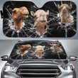 Camel Broken Glasses Car All Over Printed 3D Car Sunshade, Camel Lover Car Windshield, Car Front Protector