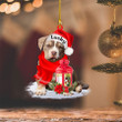 Personalized Pitbull Christmas Present Ornament, Custom Name Dog Flat Acrylic Ornament For Xmas Decor