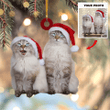 Personalized Cute Cat Photo Mica Ornament - Gift For Cat Lover - Cats Christmas Photo