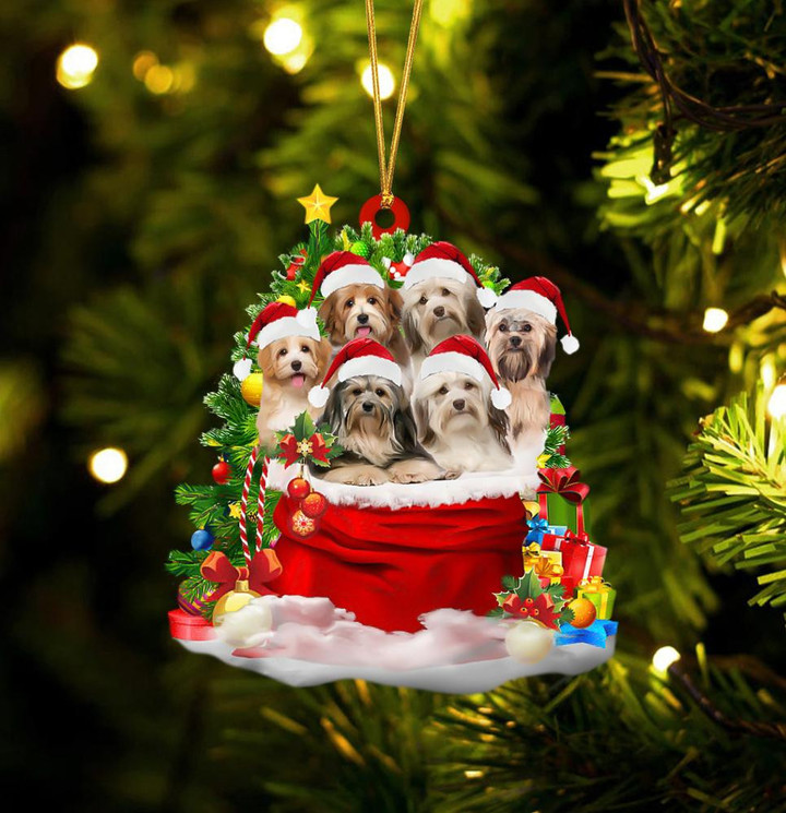Havanese Dogs In A Gift Bag Christmas Ornament Flat Acrylic Dog Ornament