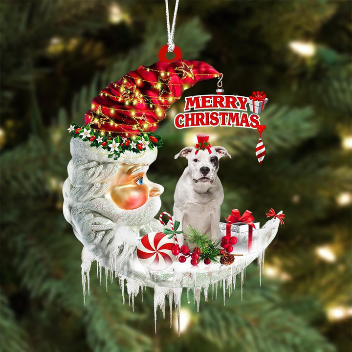 Dogo Argentino On The Moon Merry Christmas Hanging Ornament Flat Acrylic Dog Ornament