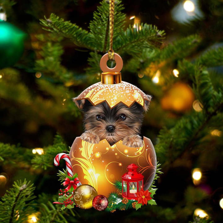Yorkshire Terrier in Golden Egg Christmas Ornament, Flat Acrylic Dog Ornament